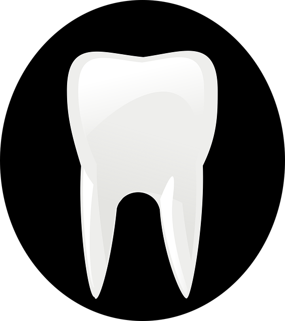 Top McAllen TX Dentist: Reviews, Expert Care & Happy Patients