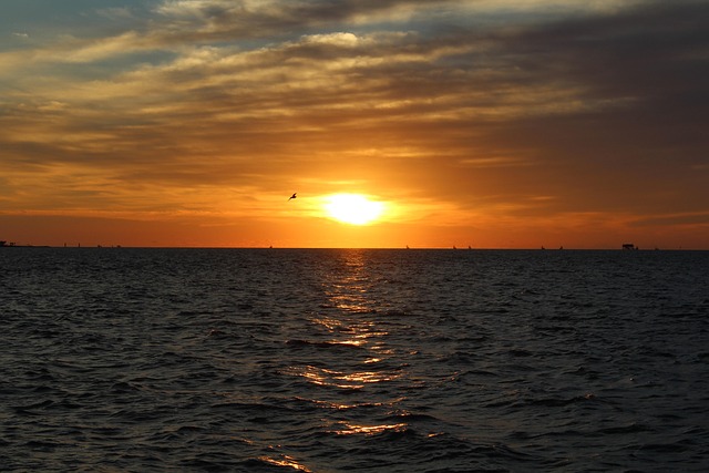 dentist mission texas