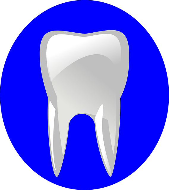 dentist on 10th street