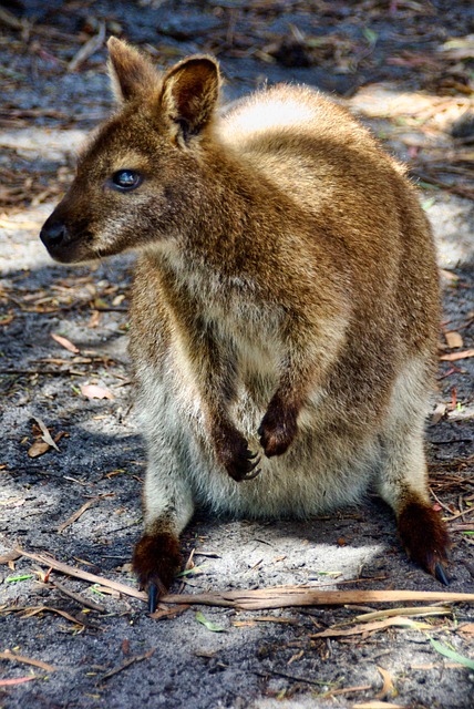 Dr. Joey Cazares: McAllen’s Loving Dental Care Legacy