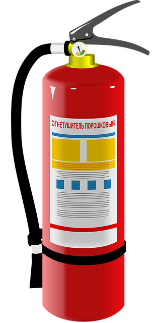 emergency dentist mcallen