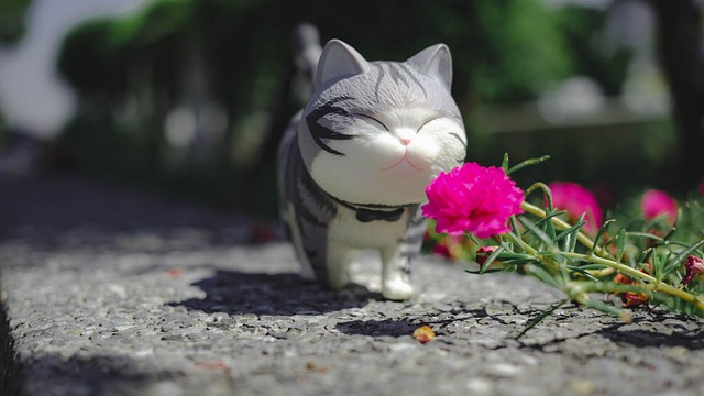 How often should I visit a McAllen dentist for checkups