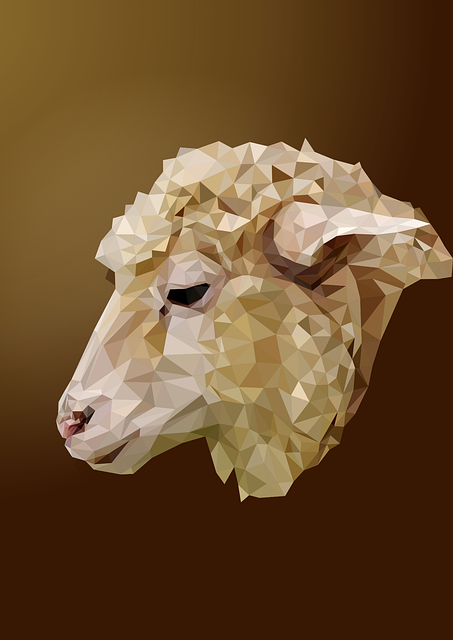 Affordable Quality Dentistry in McAllen: Your Local Low-Cost Solution