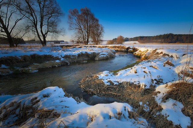 Uncover Top Specialists Near You in TX: Your Local Guide