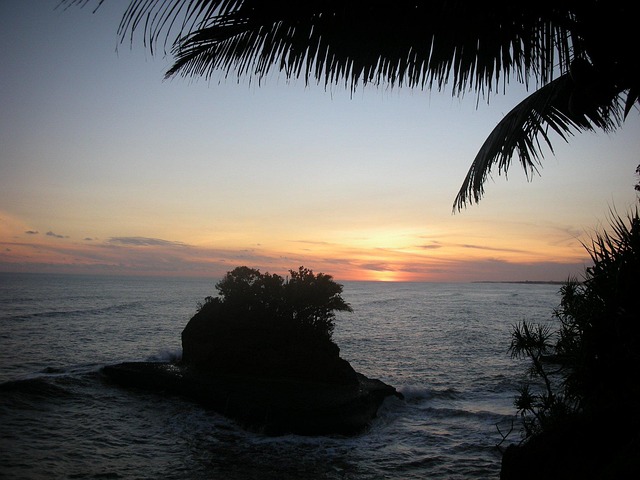 When should I replace my toothbrush in McAllen