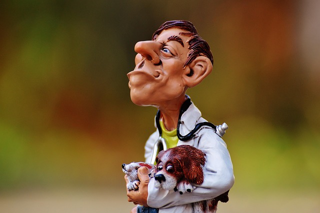 Where can I find emergency dentist services in McAllen