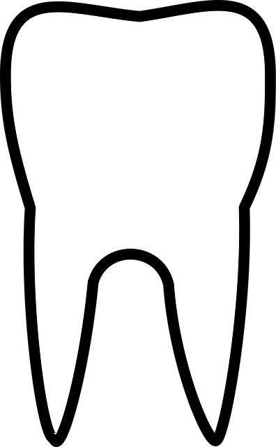 dentist-640x480-47569540.png