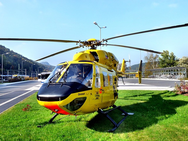 dentists in mission tx