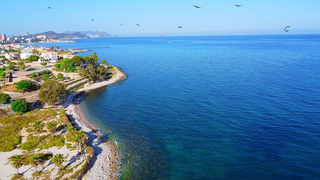 Dr Cazares McAllen 2: Seamless Online Appointment Booking