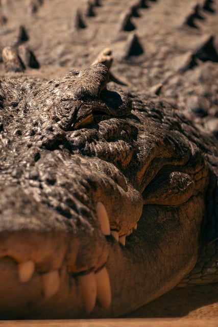 teeth whitening in mcallen tx