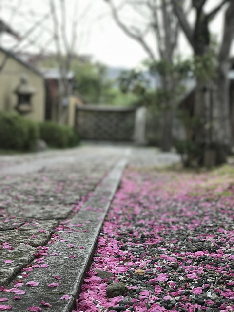 When should I replace my toothbrush in McAllen