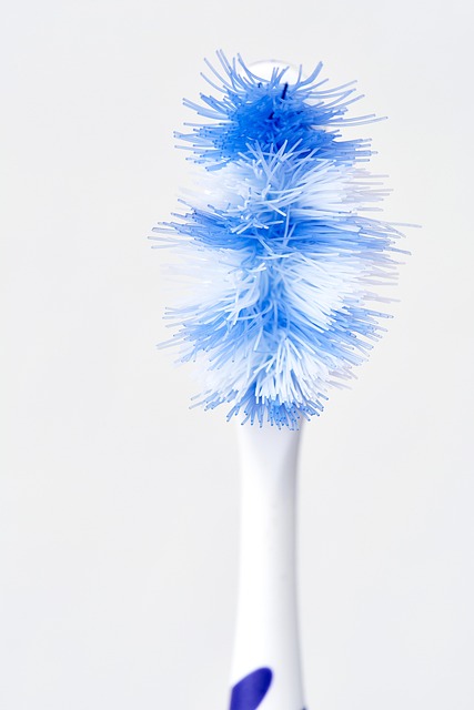 Where can I find affordable dental care in McAllen, TX