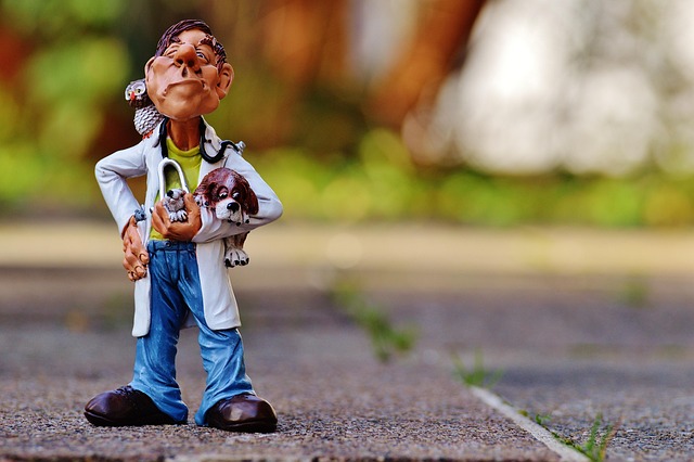 Where can I find emergency dentist services in McAllen