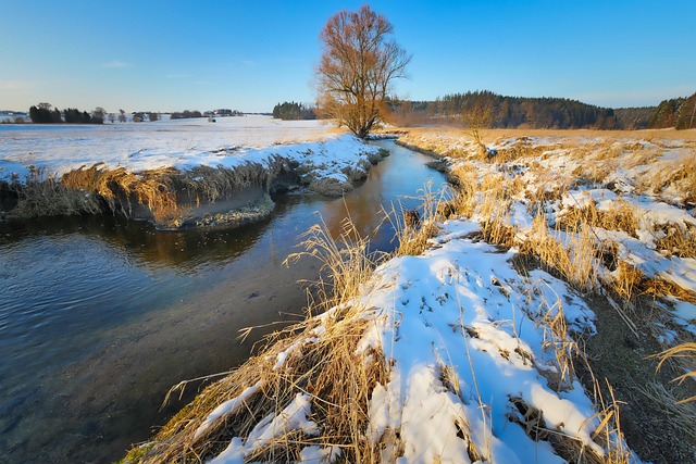 best dentist mcallen tx