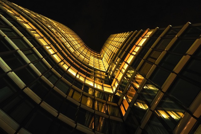 Braces in McAllen: Metal-Free Options & Dentist Guide