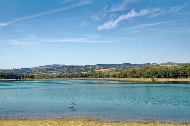 clinicas del dr. cazares McAllen