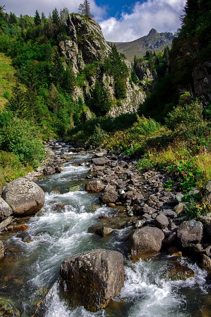 Emergency Dental Care McAllen TX: Dr. Cazares Offers Expert Relief