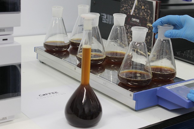 dental it consulting mcallen tx