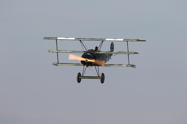 dr cazares mcallen 2