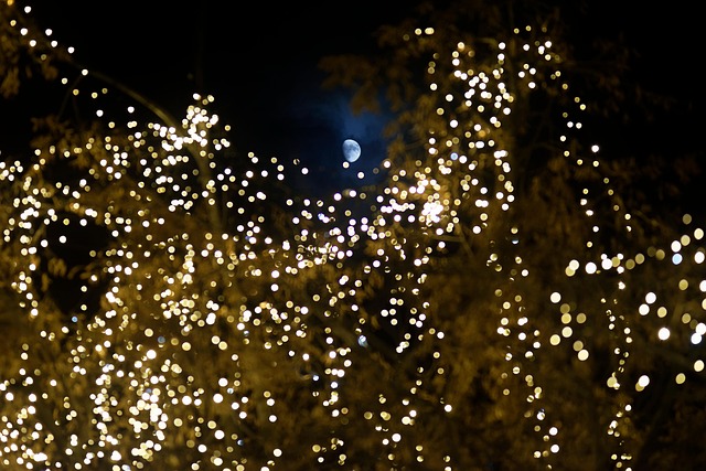 How do I choose the right dentist for my child in McAllen