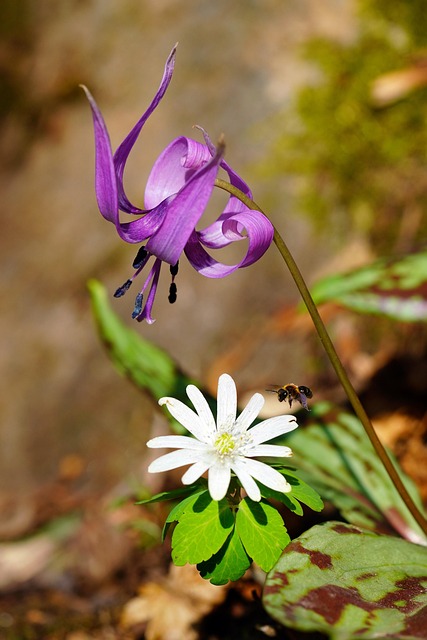 How do I choose the right dentist for my child in McAllen