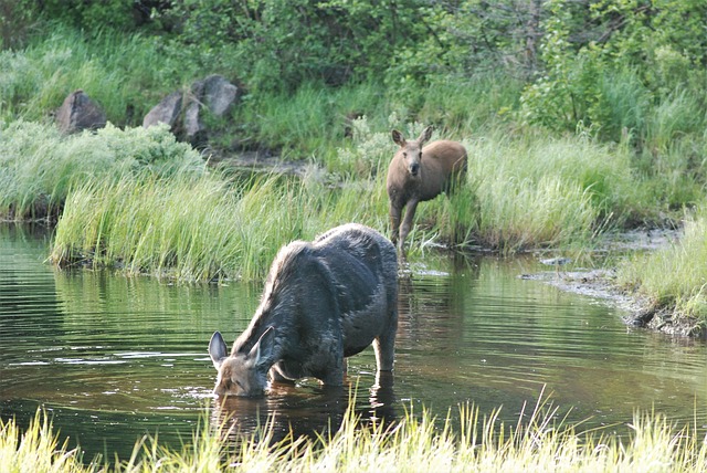 How do I find a family dentist in McAllen, Texas