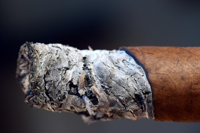 Break Free from Stagnation: Expert Guidance for Action