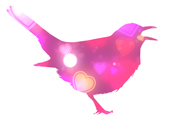 How often should I visit a McAllen dentist for checkups