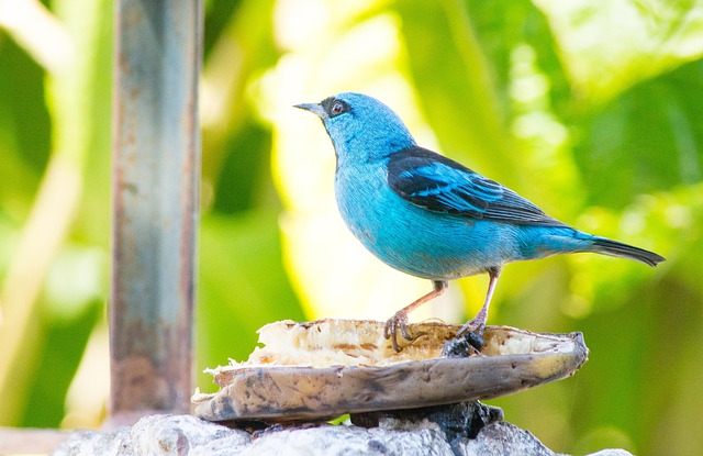 How often should I visit a McAllen dentist for checkups