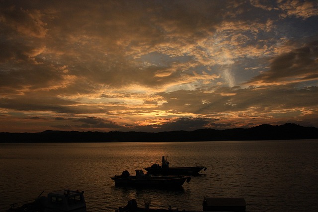 it support for dentist office mcallen tx