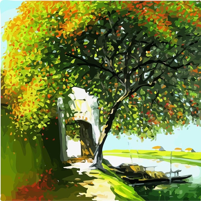 low cost dentist mcallen tx