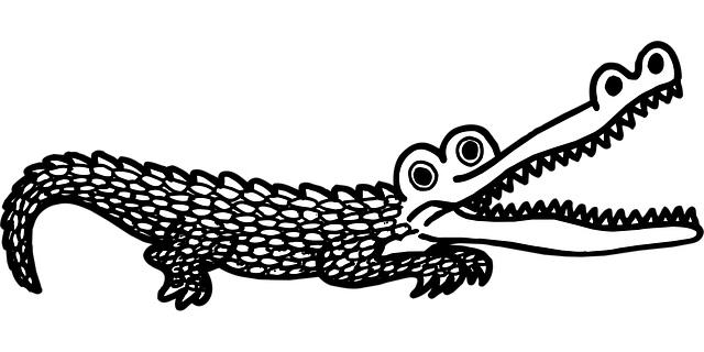 teeth whitening mcallen