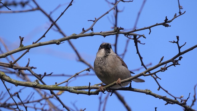 Affordable Dental Care: McAllen’s General Dentist Services & Tips