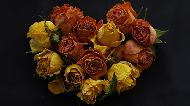 When should I replace my toothbrush in McAllen