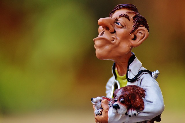 Where can I find emergency dentist services in McAllen