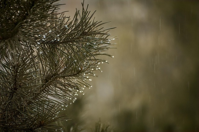 Why choose a local McAllen dentist over a corporate chain