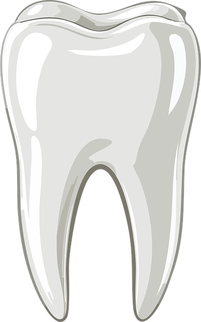 Transforming Smiles: Expert Care at Top McAllen Dentist