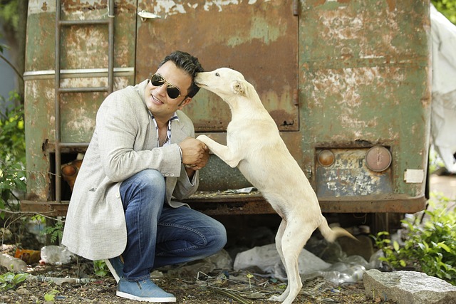 best orthodontist mcallen tx