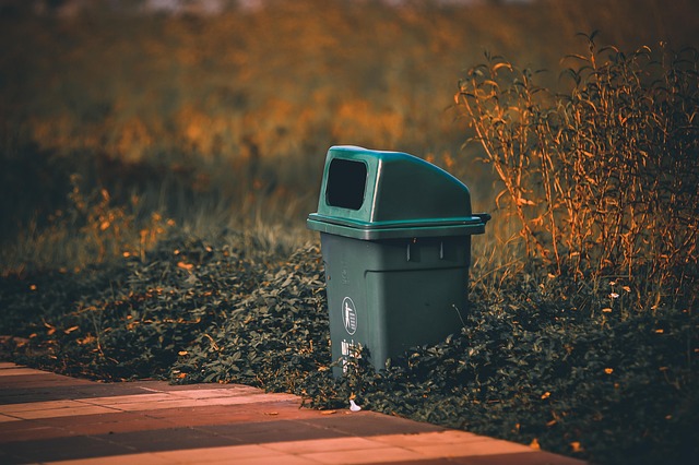 Can I get braces at a McAllen dentist office
