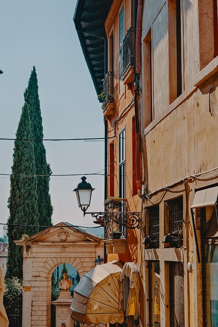 clinicas del dr. cazares McAllen