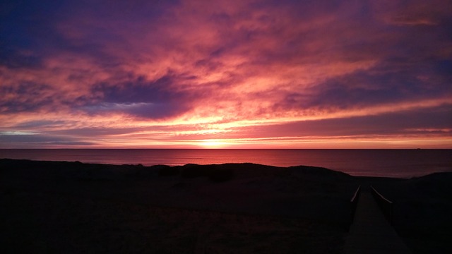 clinicas del dr cazares McAllen