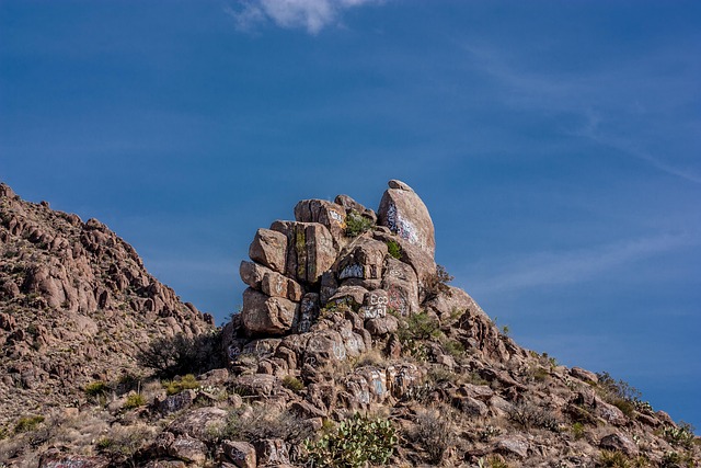 dentist mission texas