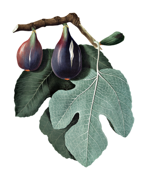 dentist mission texas