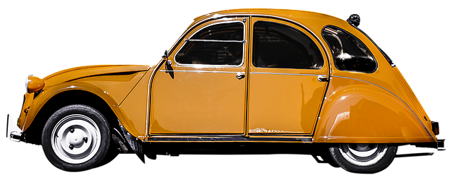 dr cazares mcallen 2