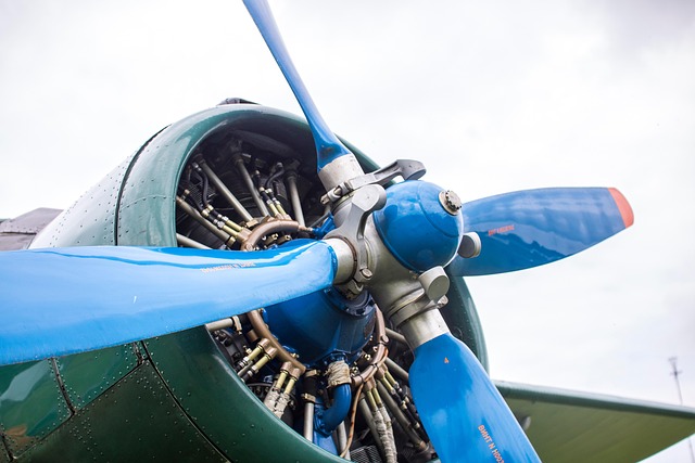 dr cazares mcallen 2