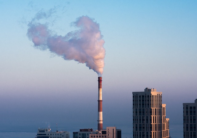 How do I find a family dentist in McAllen, Texas