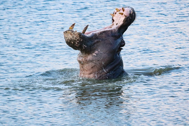 teeth whitening mcallen tx