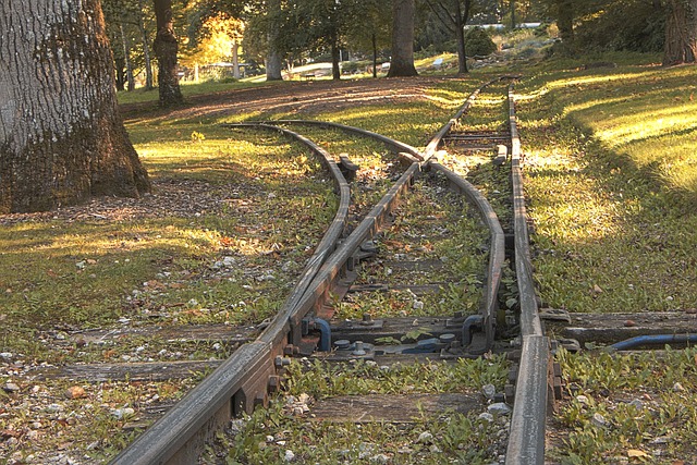 When should I consider a dental referral in McAllen