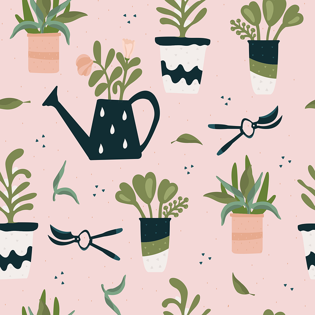 Where can I find affordable dental care in McAllen, TX