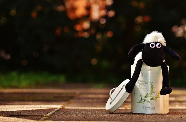 Unlock Affordable Dental Care in McAllen, TX Today